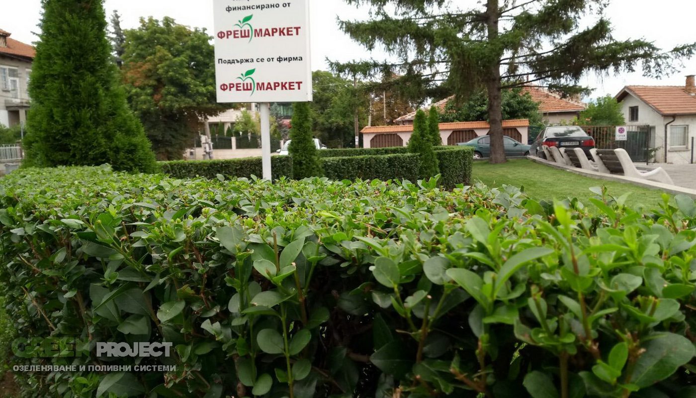 Озеленяване на центъра на с. Мрамор