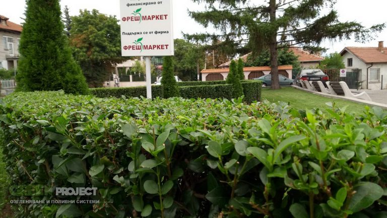 Озеленяване на центъра на с. Мрамор
