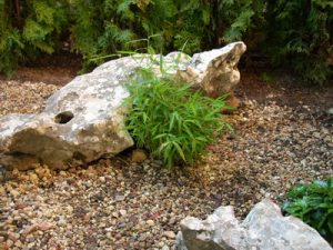 Озеленяване на офис сграда