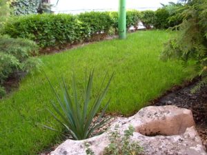 Озеленяване на офис сграда