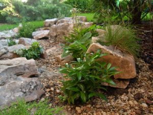 Озеленяване на офис сграда