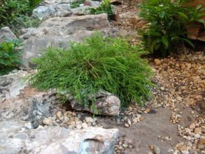 Озеленяване на офис сграда