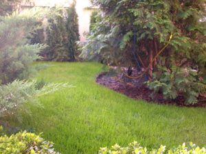 Озеленяване на офис сграда