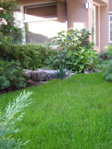 Озеленяване на офис сграда