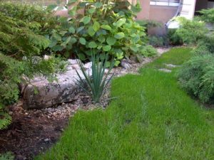 Озеленяване на офис сграда