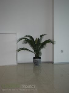 Интериорно озеленяване на Baxter – офис София