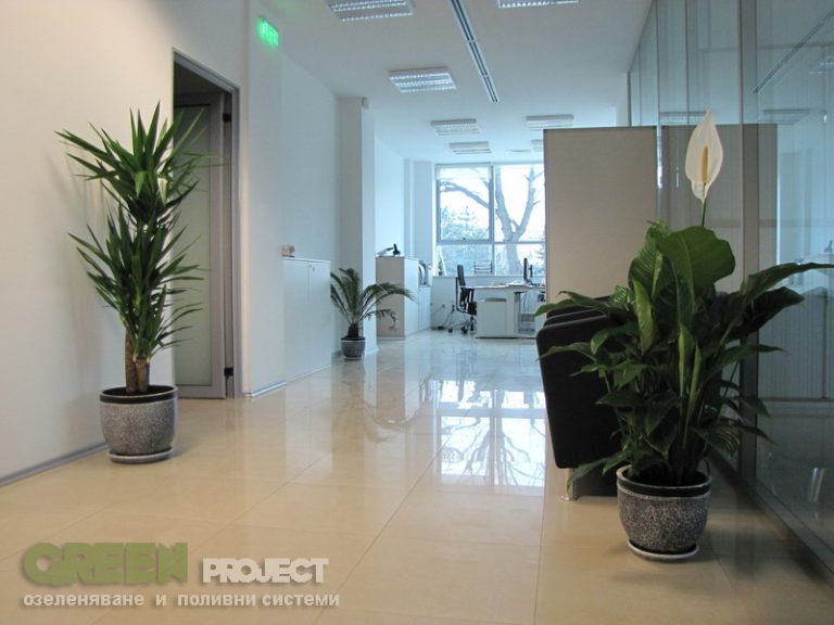 Интериорно озеленяване на Baxter - офис София