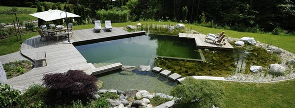 Биобасейни