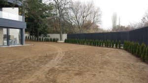 Озеленяване на двор в София – кв. Бояна (6)