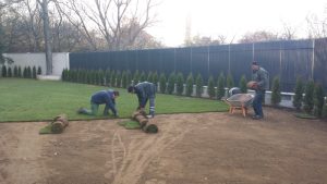 Озеленяване на двор в София – кв. Бояна (6)