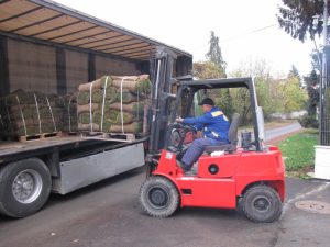 Озеленяване на двор в София – кв. Бояна (6)