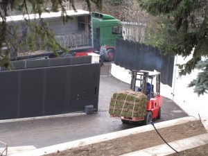 Озеленяване на двор в София – кв. Бояна (6)