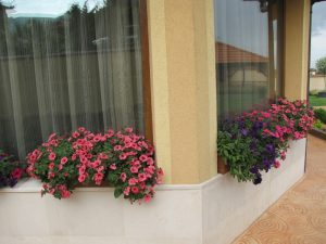 озеленяване на двор в кв. Бояна 2 – етап 2