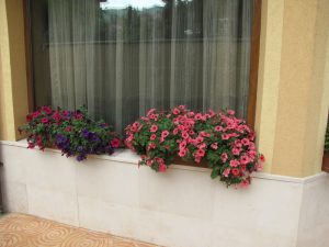 озеленяване на двор в кв. Бояна 2 – етап 2