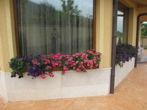 озеленяване на двор в кв. Бояна 2 – етап 2