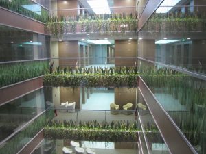 Интериорно озеленяване и поддръжка на Банка ДСК – централен офис