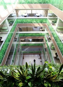 Интериорно озеленяване и поддръжка на Банка ДСК – централен офис