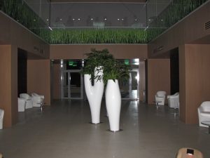 Интериорно озеленяване и поддръжка на Банка ДСК – централен офис