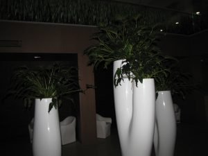 Интериорно озеленяване и поддръжка на Банка ДСК – централен офис