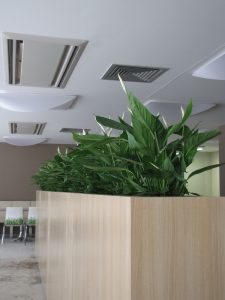 Интериорно озеленяване и поддръжка на Банка ДСК – централен офис