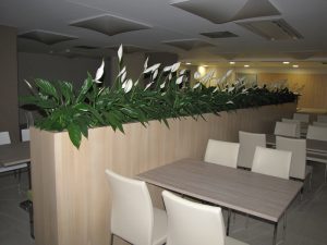 Интериорно озеленяване и поддръжка на Банка ДСК – централен офис