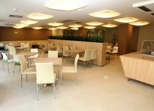 Интериорно озеленяване и поддръжка на Банка ДСК – централен офис