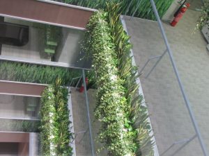 Интериорно озеленяване и поддръжка на Банка ДСК – централен офис