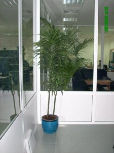Интериорно озеленяване на офиса на Еконт Експрес