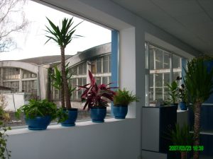 Интериорно озеленяване на офиса на Еконт Експрес