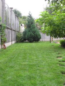 поддръжка на жилищна сграда в кв. Витоша