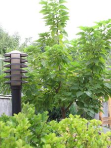 поддръжка на жилищна сграда в кв. Витоша