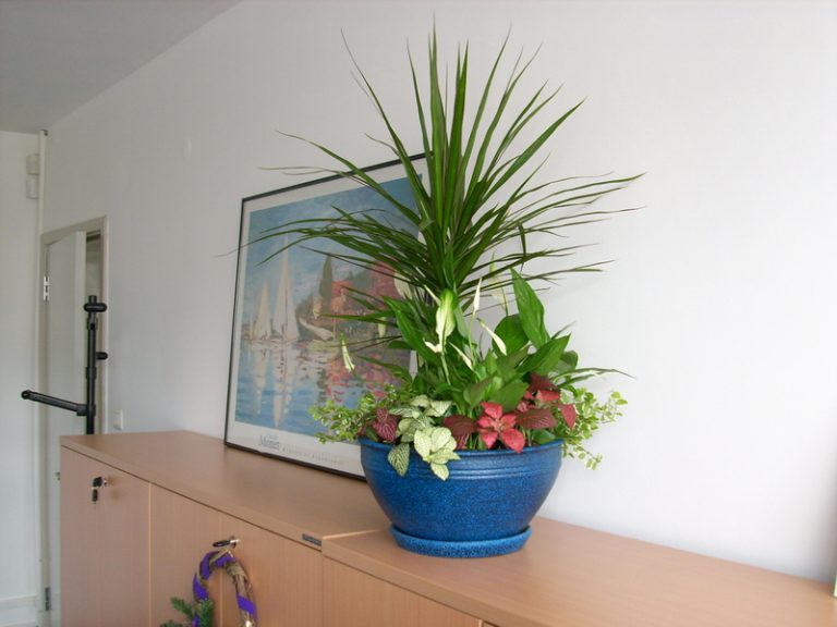 Интериорно озеленяване на офиса на Glaxo Smith Kline