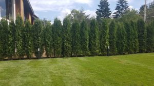 Градинско осветление – Киноцентъра