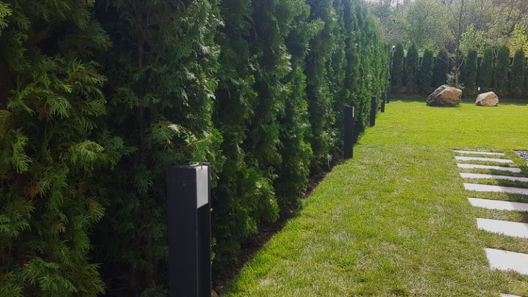 Градинско осветление - Киноцентъра