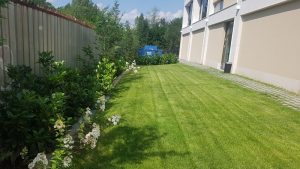 Озеленяване на офис сграда