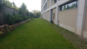 Озеленяване на офис сграда