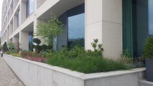 Озеленяване на офис сграда