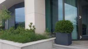 Озеленяване на офис сграда