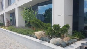 Озеленяване на офис сграда