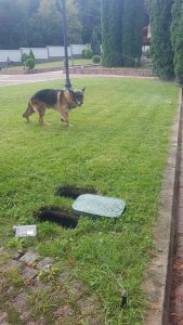 Поливна система в Правец