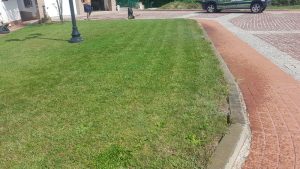 Поливна система в Правец