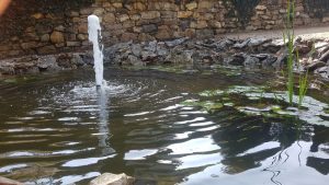 Декоративно езеро – Старозагорски минерални бани