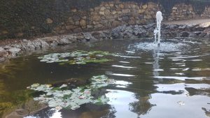 Декоративно езеро – Старозагорски минерални бани