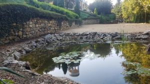 Декоративно езеро – Старозагорски минерални бани