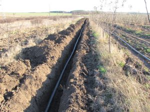 Капково напояване в с. Хаджидимитрово