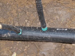 Капково напояване в с. Хаджидимитрово