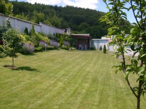 Поддръжка на двор в гр. Банкя