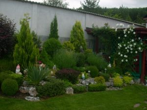 Поддръжка на двор в гр. Банкя