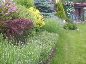 Поддръжка на двор в гр. Банкя