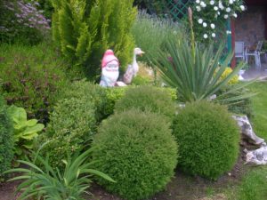 Поддръжка на двор в гр. Банкя